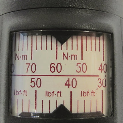 80110000 close up of scale